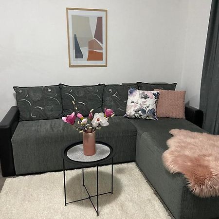 Apartman Aleksic Jagodina Exterior foto