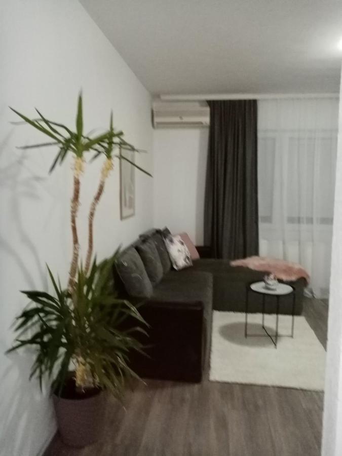 Apartman Aleksic Jagodina Exterior foto